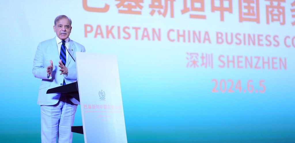 PM Shehbaz Sharif guarantees facilitation, security to Chinese investment