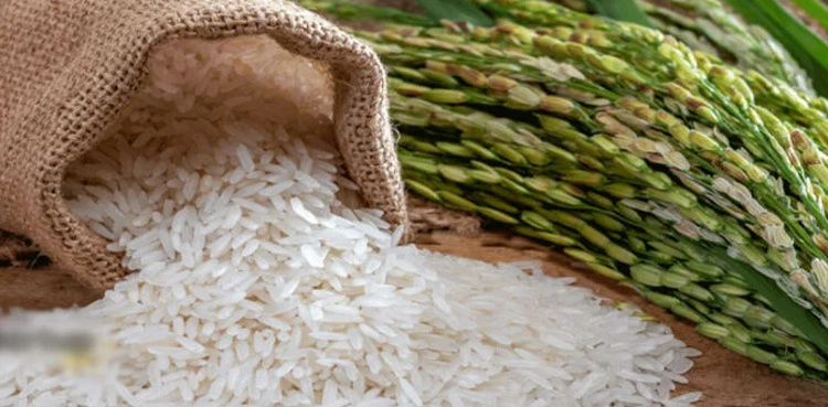 Pakistan earns $4 bln in rice exports in 2024