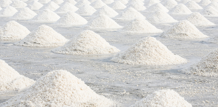 Balochistan Govt to lauch solar salt project in Gwadar