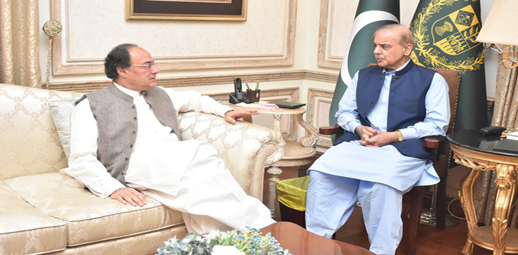 PM Shehbaz to head ECNEC instead of FinMin