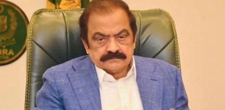 Rana Sanaullah admits PPP’s concerns over budgets are ‘valid’