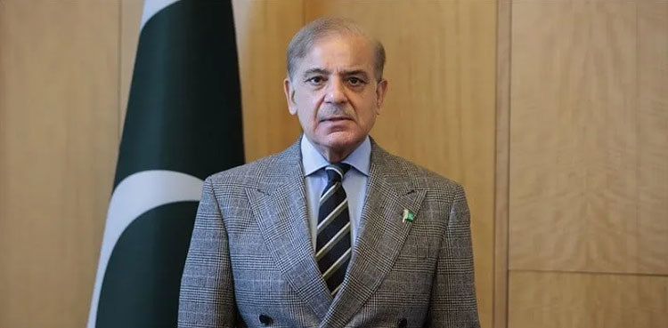 Had to consider IMF proposal in budget preparation: PM Shehbaz
