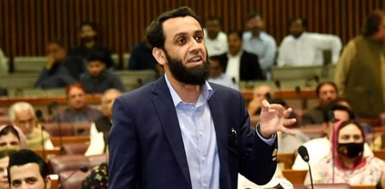 Govt ready to incorporate ‘constructive’ suggestions in Budget 2024: Tarar