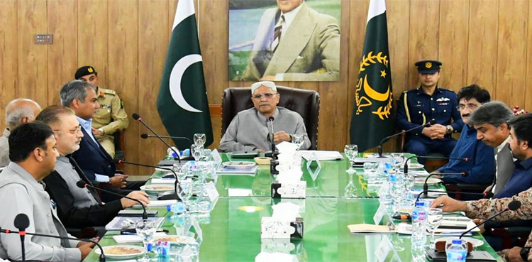 Surrendering Katcha area dacoits should be brought in the mainstream: Zardari