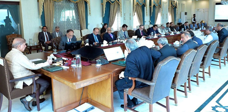 Foreign investment increasing due to govt's policies: PM Shehbaz