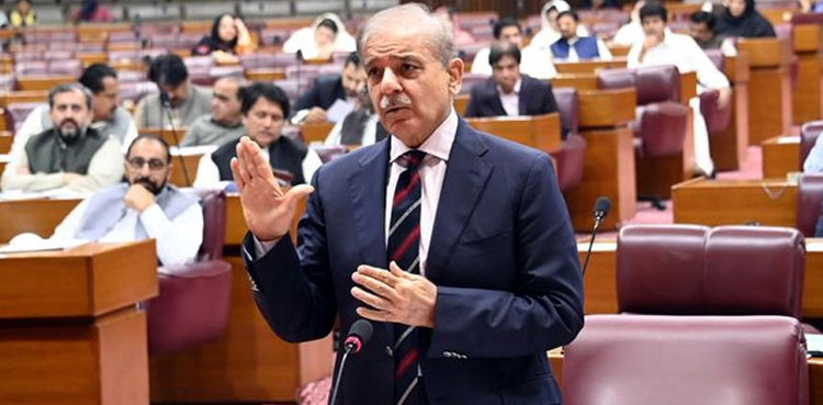 PM Shehbaz Sharif sets up task force to fix power sector