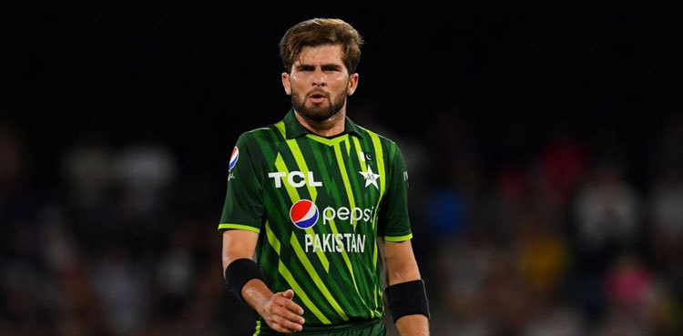 Shaheen Shah Afridi nominated for ICC Player of the Month award