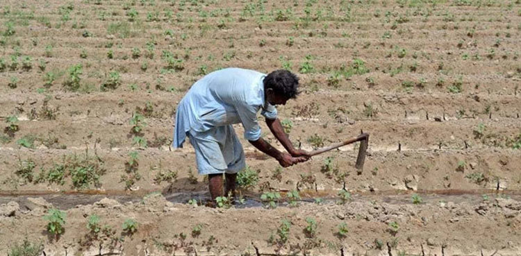 Farmers to stop cultivating crops due to water scarcity, warns PPP