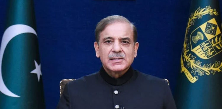 ‘PM Shehbaz may dissolve National Assembly within three months’
