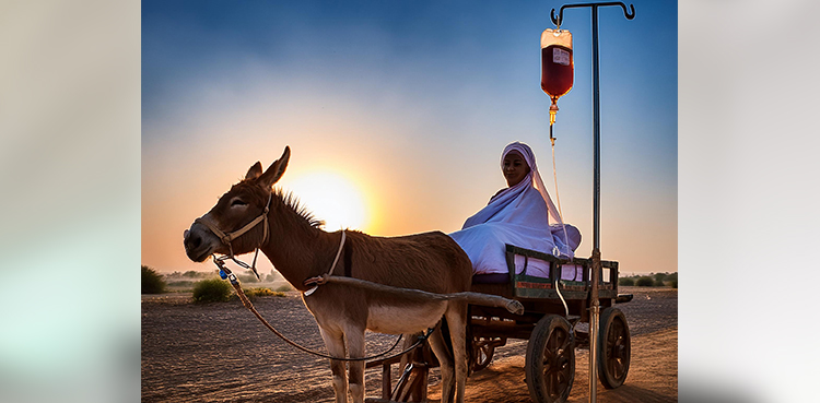 Patient receives treatment on donkey cart in Sindh