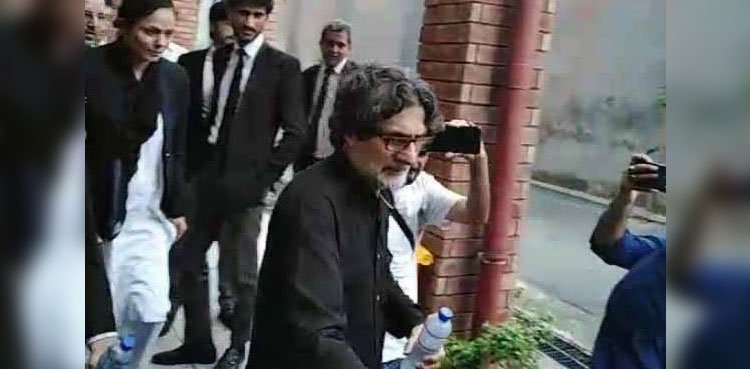 PTI's Raoof Hasan gets post-arrest bail in PECA act case