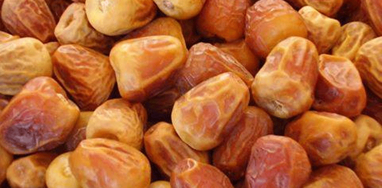 Saudi Arabia introduces seasonal markets system for date trading