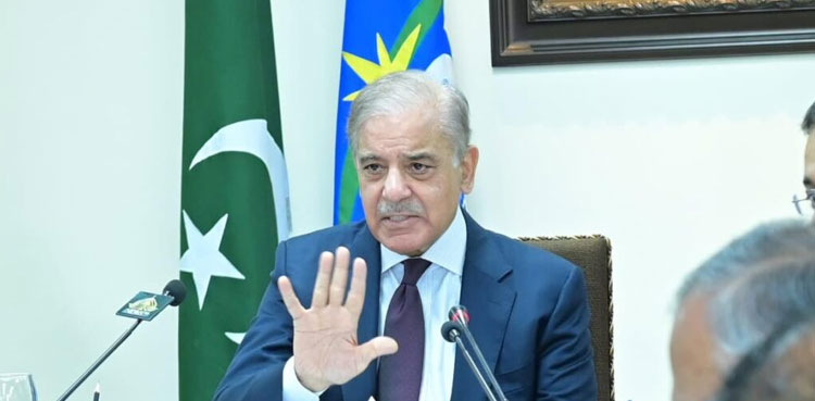 I will resign if need be but won't bow to pressure: PM Shehbaz