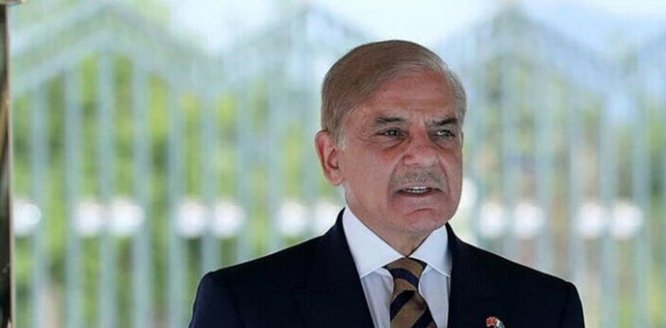 PM Shehbaz announces countrywide campaign to eradicate Hepatitis C