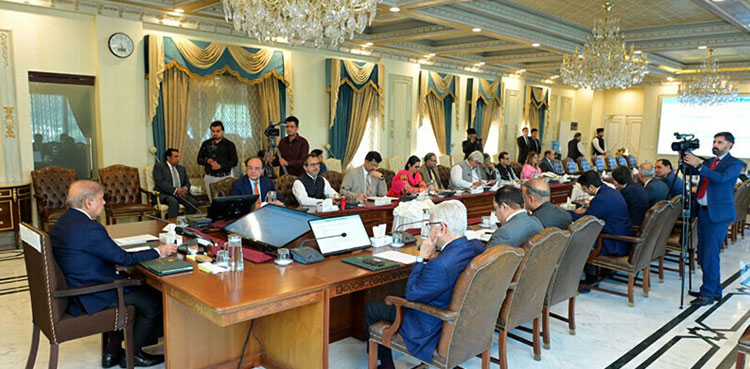 Federal Cabinet okays privatisation of 13 power division entities