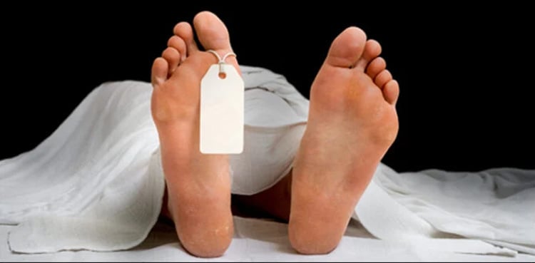 Woman takes drastic step after killing her two children