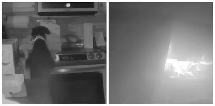 Caught-On-Cam: Pet dog sets family’s home on fire