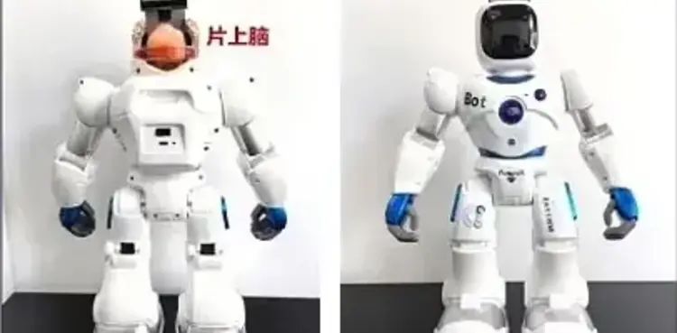 ‘Frankenstein’ robot with human brain goes on display