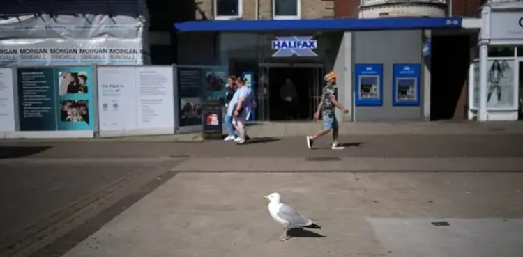 ‘Steven Seagull’ banned from entering store after multiple thefts