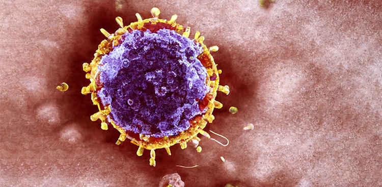 Lymphir: US approves therapy for rare blood cancer