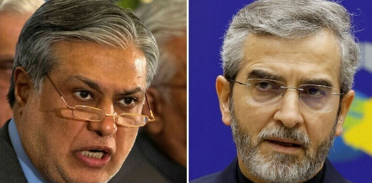 Ismail Haniyeh's martyrdom: Pakistan ‘fully supports’ Iran’s call for OIC extraordinary meeting