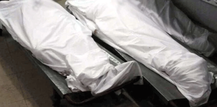 Man kills two stepbrothers over matrimonial dispute in Pakistan