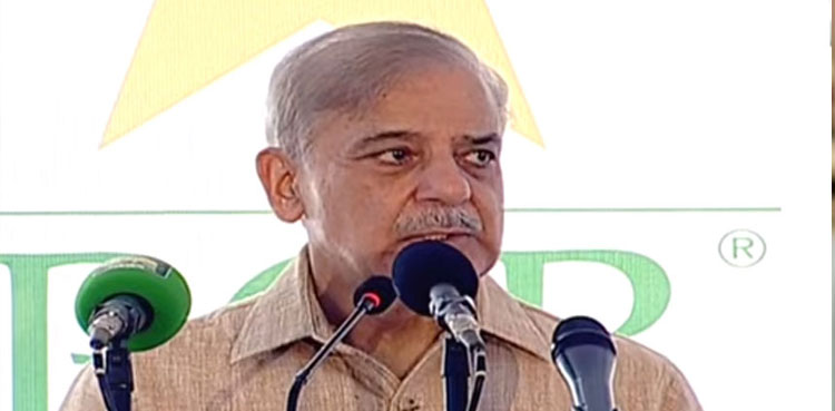 PM Shehbaz directs Naqvi to reform Pakistan cricket