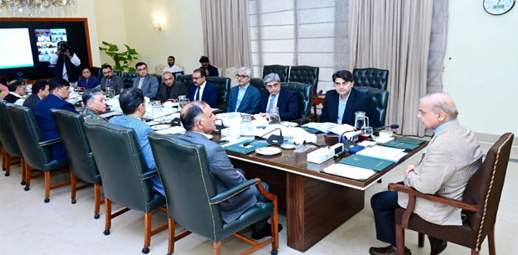 PM Shehbaz directs pre-emptive measures to prevent spread of Mpox