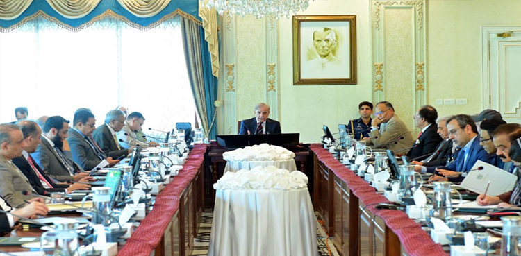 PM Shehbaz 'decides' to expand federal cabinet