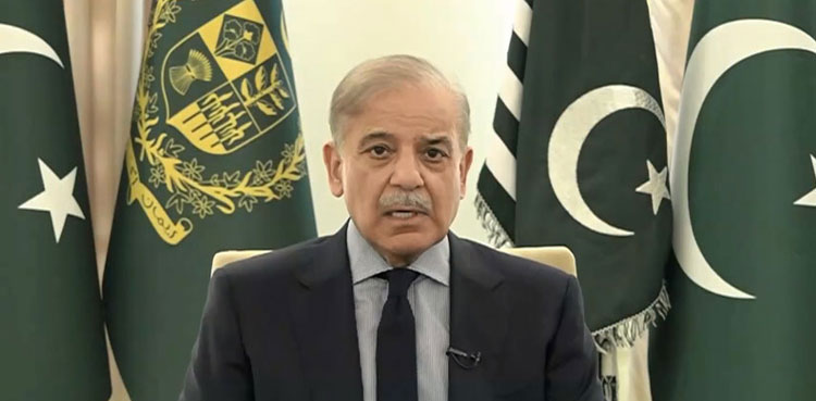 Granting due rights to Kashmiris, Palestinians, only way to maintain peace: PM