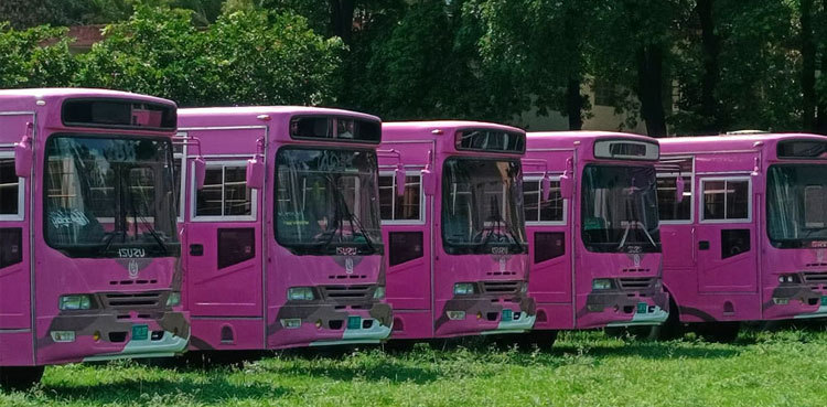 Islamabad: Pink bus service launched for female students, teachers