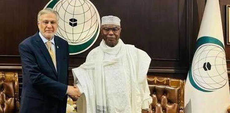 Deputy PM Dar, OIC Secretary General call for ceasefire in Gaza