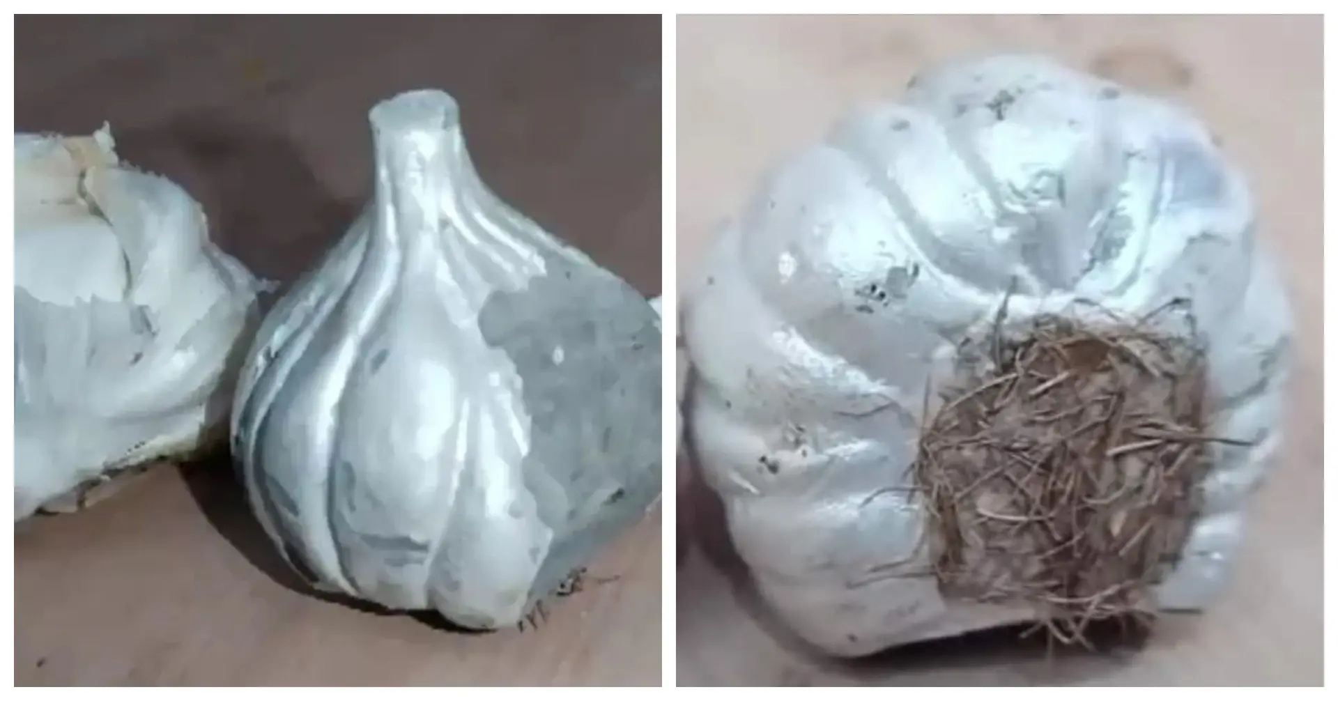 WATCH: Woman buys fake garlic made with cement