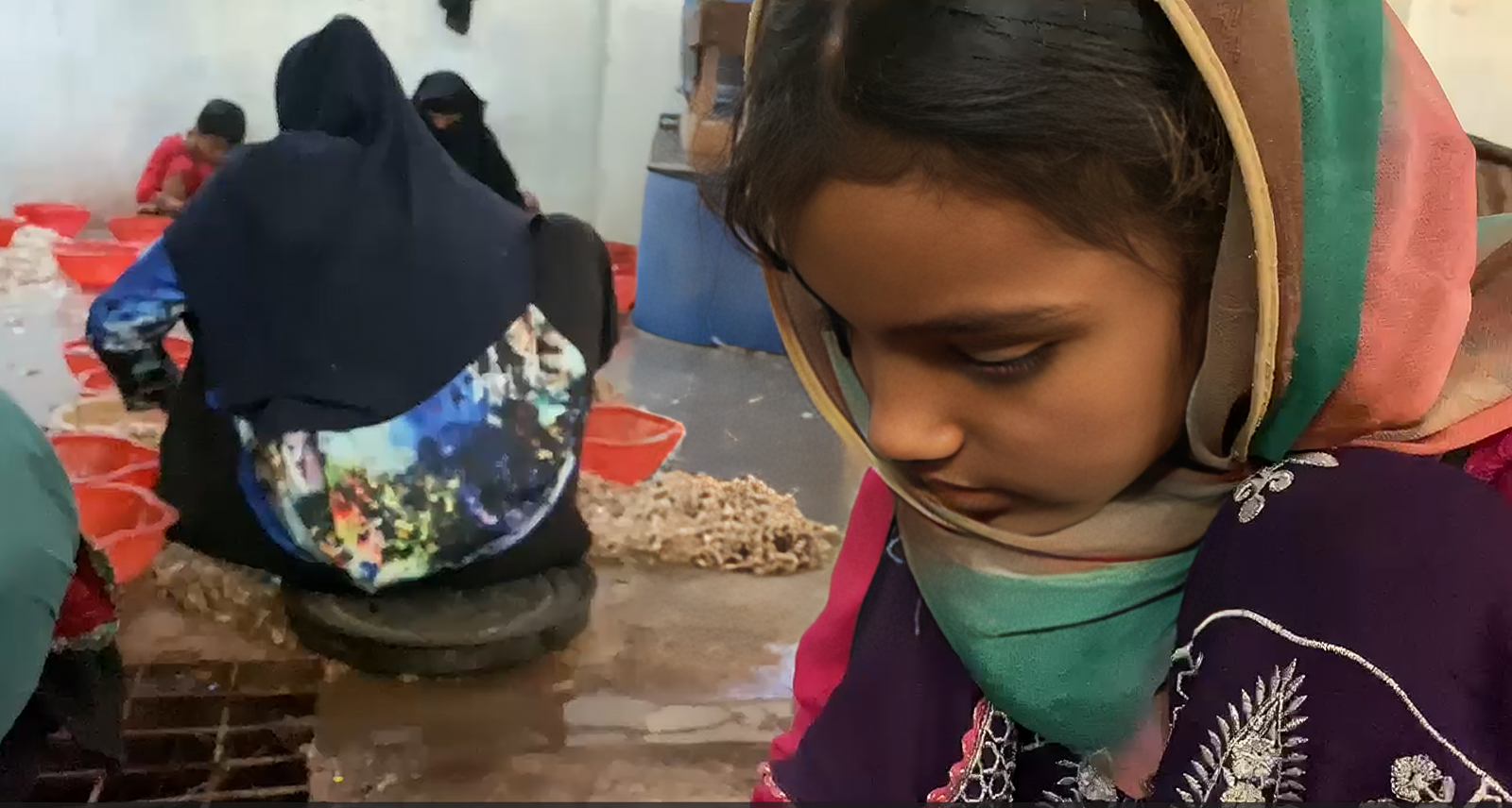 Karachi’s Machar Colony perennially suffers in silence, but One Health can help