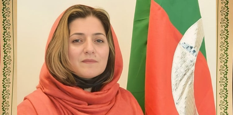 PTI senator Falak Naz suspended for 'abusive' remarks against Faisal Vawda