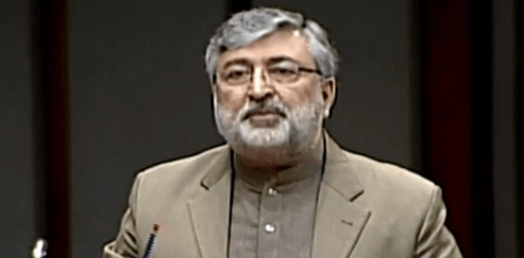 Constitutional amendments: No consensus between JUI-F, PTI on draft, says Murtaza