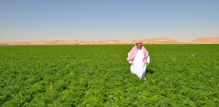 Punjab announces special relief package for farmers