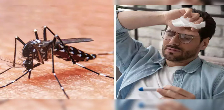 NIH issues advisory on chikungunya