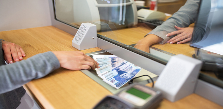 Economic red flag: Govt borrowings rise, private sector's fall