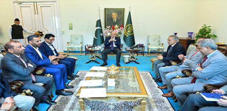 PM Shehbaz assures MQM-P of considering constitutional amendments