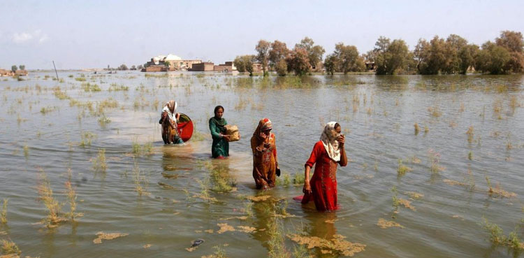 Q&A: ‘Passivity accomplishes nothing,’ says Pakistan’s climate coordinator