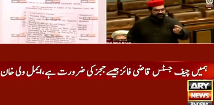 ANP senator backs judicial reforms in constitutional amendments