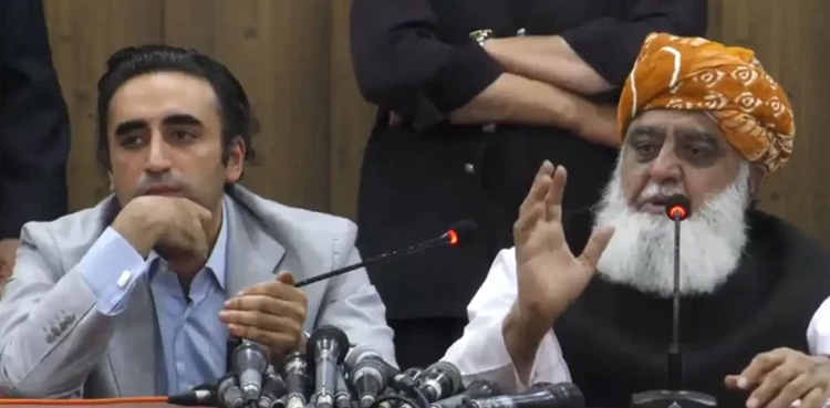 PPP, JUI-F shuffles parliamentary leaders ahead of constitutional amendments