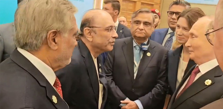 President Zardari meets his Russian counterpart Vladimir Putin