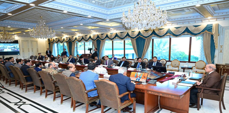 Overseas Pakistanis our asset: PM Shehbaz