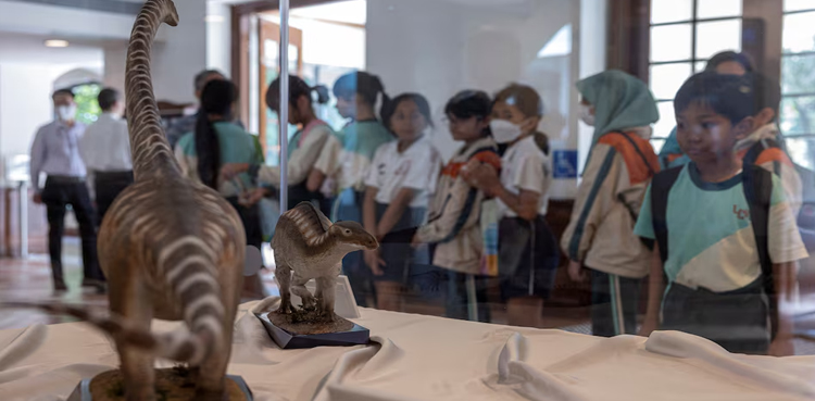 Hong Kong's first dinosaur fossils, likely from large dinosaur, go on display