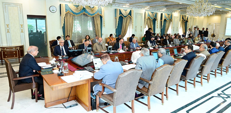 Federal cabinet greenlights PM’s relief fund for Palestine, Lebanon