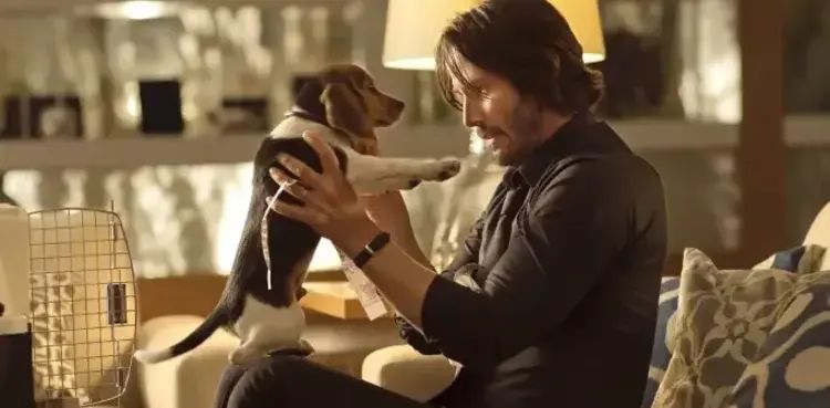 ‘John Wick’ director recalls Keanu Reeves taking stand for dog death scene