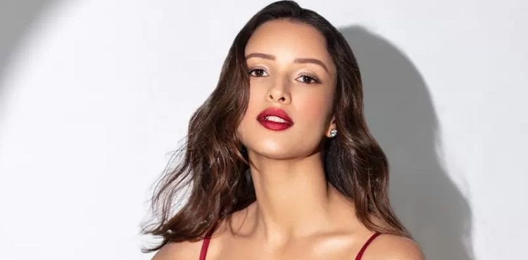 Triptii Dimri wants a life partner like THIS character of Shah Rukh Khan