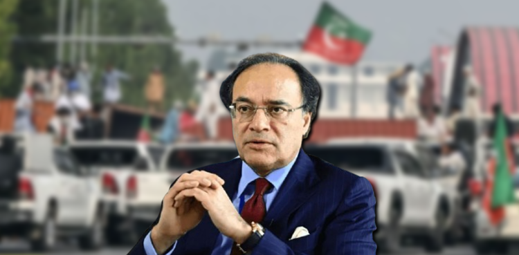 Opposition-led protests costing Pakistan Rs 190bln daily, claims FinMin